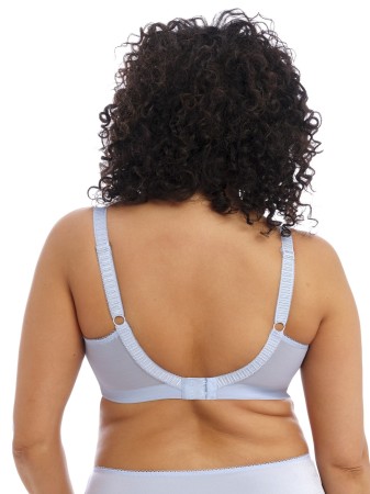 CATE  - ALASKA - NON BRA - EL4033 - BRIEF - EL4036 - ALA - B.jpg