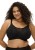 TIERNIE_BLACK_NON-WIRED-BRALETTE_EL303317_BRIEF_EL303350_F1_TRADE_3000_AW26 .jpg