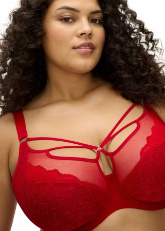 BRIANNA_HAUTE-RED_UW-PLUNGE-BRA_EL8080_F2_TRADE_3000_AW26.jpg