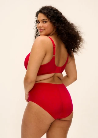 1200x1680-pdp-widescreen-EL8085-HAD-back-Elomi-Lingerie-Brianna-Haute-Red-Full-Brief.jpeg