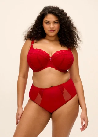 1200x1680-pdp-widescreen-EL8085-HAD-alt1-Elomi-Lingerie-Brianna-Haute-Red-Full-Brief.jpeg