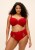 1200x1680-pdp-widescreen-EL8085-HAD-alt1-Elomi-Lingerie-Brianna-Haute-Red-Full-Brief.jpeg